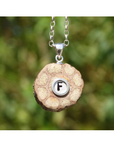 Personalized necklace. Initial " F "...
